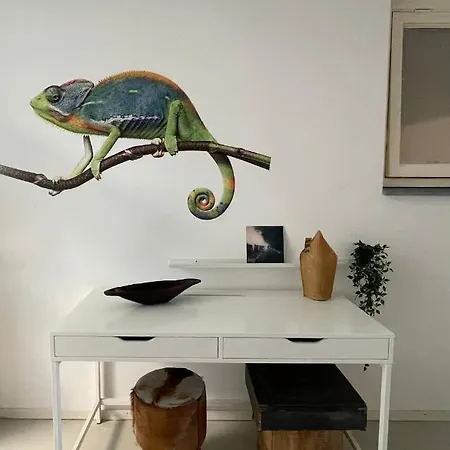Studio Bliss *
